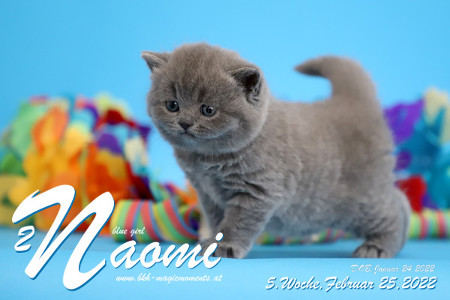 Naomi ist 5 Wochen alt ( 25.02.2022 )