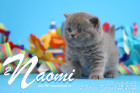 Naomi ist 5 Wochen alt ( 25.02.2022 )