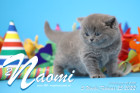 Naomi ist 5 Wochen alt ( 25.02.2022 )