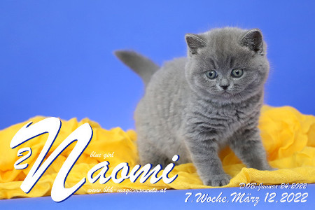 Naomi ist 7 Wochen alt ( 12.03.2022 )