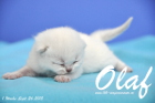 Olaf ist 1 Woche alt geworden (26.09.2015)