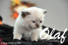 Olaf ist 4 Wochen alt geworden (17.10.2015)