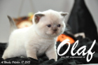 Olaf ist 4 Wochen alt geworden (17.10.2015)