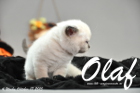 Olaf ist 4 Wochen alt geworden (17.10.2015)