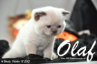 Olaf ist 4 Wochen alt geworden (17.10.2015)