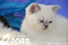 Oscar ist 8 Wochen alt geworden ( 14.11.2015 )