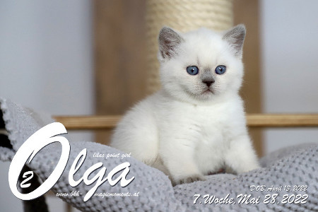Olga ist in der 7.Lebenswoche ( 28.05.2022 )