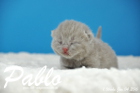 Pablo ist 1 Woche alt geworden ( 04.01.2016 )