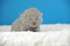 Pablo ist 1 Woche alt geworden ( 04.01.2016 )