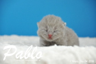 Pablo ist 1 Woche alt geworden ( 04.01.2016 )