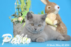 Pablo ist 12 Wochen alt geworden ( 20.03.2016 )