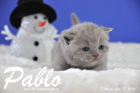Pablo ist 3 Wochen alt geworden ( 17.01.2016 )