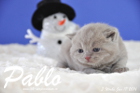 Pablo ist 3 Wochen alt geworden ( 17.01.2016 )