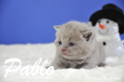 Pablo ist 3 Wochen alt geworden ( 17.01.2016 )