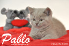 Pablo ist 8 Wochen alt geworden ( 21.02.2016 )