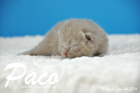 Paco ist 1 Woche alt geworden ( 04.01.2016 )