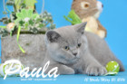 Paula ist 12 Wochen alt geworden ( 20.03.2016 )