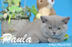 Paula ist 12 Wochen alt geworden ( 20.03.2016 )