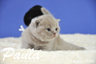 Paula ist 3 Wochen alt geworden ( 17.01.2016 )