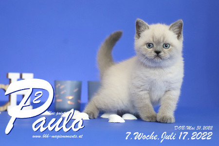 Paulo ist in der 7.Lebenswoche ( 17.07.2022 )