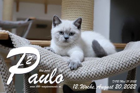 Paulo ist in der 12.Lebenswoche ( 20.08.2022 )