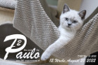 Paulo ist in der 12.Lebenswoche ( 20.08.2022 )