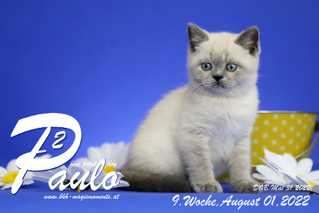 Paulo ist in der 9.Lebenswoche ( 01.08.2022 )