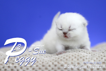 Peggy-Sue ist in der 2.Lebenswoche ( 11.06.2022 )