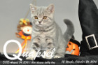 Quapsel ist 12 Wochen alt geworden ( 26.10.2016 )