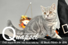 Quapsel ist 12 Wochen alt geworden ( 26.10.2016 )