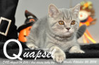 Quapsel ist 12 Wochen alt geworden ( 26.10.2016 )