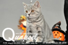 Quapsel ist 12 Wochen alt geworden ( 26.10.2016 )