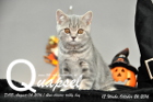 Quapsel ist 12 Wochen alt geworden ( 26.10.2016 )