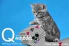 Quapsel ist 7 Wochen alt geworden ( 23.09.2016 )