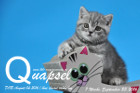 Quapsel ist 7 Wochen alt geworden ( 23.09.2016 )