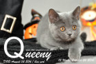 Queeny ist 12 Wochen alt geworden ( 26.10.2016 )