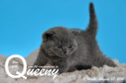 Queeny ist 3 Wochen alt geworden ( 27.08.2016 )