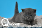 Queeny ist 3 Wochen alt geworden ( 27.08.2016 )