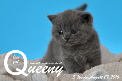 Queeny ist 3 Wochen alt geworden ( 27.08.2016 )