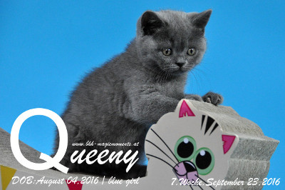 Queeny ist 7 Wochen alt geworden ( 23.09.2016 )