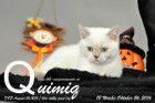 Quimiq ist 12 Wochen alt geworden ( 26.10.2016 )
