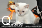 Quimiq ist 12 Wochen alt geworden ( 26.10.2016 )
