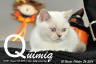 Quimiq ist 12 Wochen alt geworden ( 26.10.2016 )