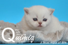 Quimiq ist 3 Wochen alt geworden ( 27.08.2016 )