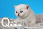 Quimiq ist 3 Wochen alt geworden ( 27.08.2016 )