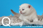 Quimiq ist 3 Wochen alt geworden ( 27.08.2016 )