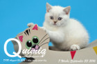 Quimiq ist 7 Wochen alt geworden ( 23.09.2016 )