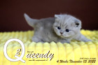 Queendy ist 4 Wochen alt ( 05.11.2022 )