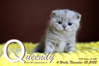 Queendy ist 4 Wochen alt ( 05.11.2022 )