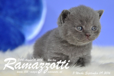 Ramazzotti ist 3 Wochen alt geworden ( 09.09.2016 )